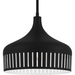 Keagan Pendant - Matte Black / White