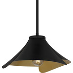 Wisp Pendant - Matte Black / Gold