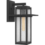 Randall Outdoor Wall Light - Mottled Black / Clear Seedy