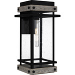 Strader Outdoor Wall Light - Matte Black / Clear Seedy