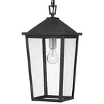 Stoneleigh Pendant - Mottled Black / Clear Seedy