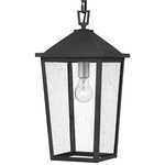 Stoneleigh Outdoor Pendant - Mottled Black / Clear Seedy