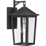Stoneleigh Outdoor Wall Light - Mottled Black / Clear Seedy
