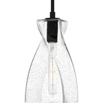Stetson Pendant - Matte Black / Clear Seedy