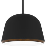 Tamara Pendant - Matte Black / Wood