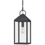 Thorpe Pendant - Mottled Black / Clear
