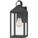 Thorpe Outdoor Wall Light - Mottled Black / Clear