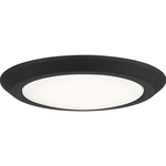 Verge Flush Mount Ceiling Light - Earth Black / White
