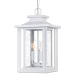 Wakefield Outdoor Pendant - Matte White / Clear Seedy