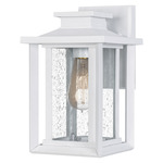 Wakefield Outdoor Wall Light - Matte White / Clear Seedy