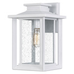 Wakefield Outdoor Wall Light - Matte White / Clear Seedy