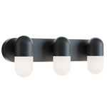 Irvine Color-Select Bathroom Vanity Light - Black / Frosted