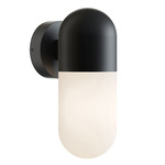 Irvine Color-Select Outdoor Sconce - Black / Frosted