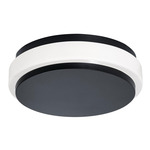 Eris Color-Select Ceiling Light - Black / White