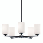 Leo Convertible 5 Light Pendant - Black / White