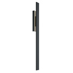 Tru Color-Select Outdoor Wall Sconce - Black
