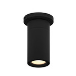 GX25 Ceiling Light - Black