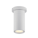 GX25 Ceiling Light - White