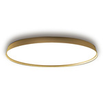 Compendium Plate Wall / Ceiling Light - Brass