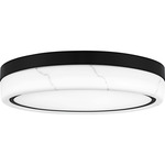 Gasper Ceiling Light - Matte Black / Alabaster