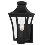 Quentin Outdoor Wall Light - Earth Black / Clear