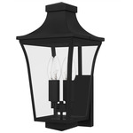 Quentin Outdoor Wall Light - Earth Black / Clear