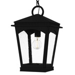 Huck Outdoor Pendant - Earth Black / Clear Seedy