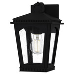 Huck Outdoor Wall Light - Earth Black / Clear Seedy