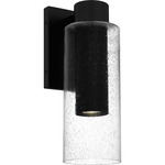 Sawyer Outdoor Wall Light - Matte Black / Clear Seedy