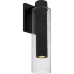 Sawyer Outdoor Wall Light - Matte Black / Clear Seedy
