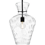 Hollis Pendant - Matte Black / Clear Water