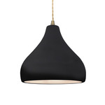 Radiance Droplet Pendant - Antique Brass / Gloss Black