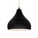 Radiance Droplet Pendant - Matte Black / Carbon