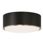 Carlton Ceiling Light - Matte Brass / Black
