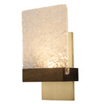 Fortis Glass Wall Sconce - Brushed Brass / Walnut