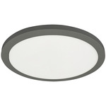 Franchesa Ceiling Light - Matte Black / White