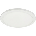 Franchesa Ceiling Light - Matte White / White