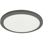 Franchesa Ceiling Light - Matte Black / White