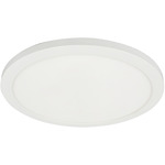 Franchesa Ceiling Light - Matte White / White