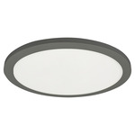 Franchesa Ceiling Light - Matte Black / White