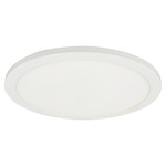 Franchesa Ceiling Light - Matte White / White