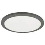 Franchesa Ceiling Light - Matte Black / White