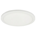 Franchesa Ceiling Light - Matte White / White