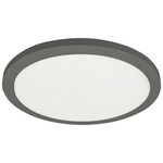 Franchesa Ceiling Light - Matte Black / White