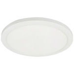 Franchesa Ceiling Light - Matte White / White