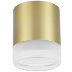 Lucia Ceiling Light - Aged Brass / White