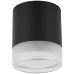 Lucia Ceiling Light - Matte Black / White