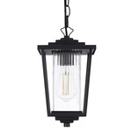 York Outdoor Pendant - Black / Clear