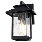 Tioga Outdoor Wall Sconce - Black / Clear