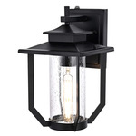 Sepviva Outdoor Wall Sconce - Black / Clear